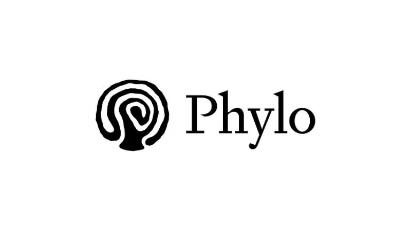 Phylo